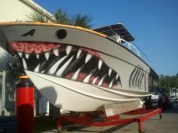 boat shark pic-6.png